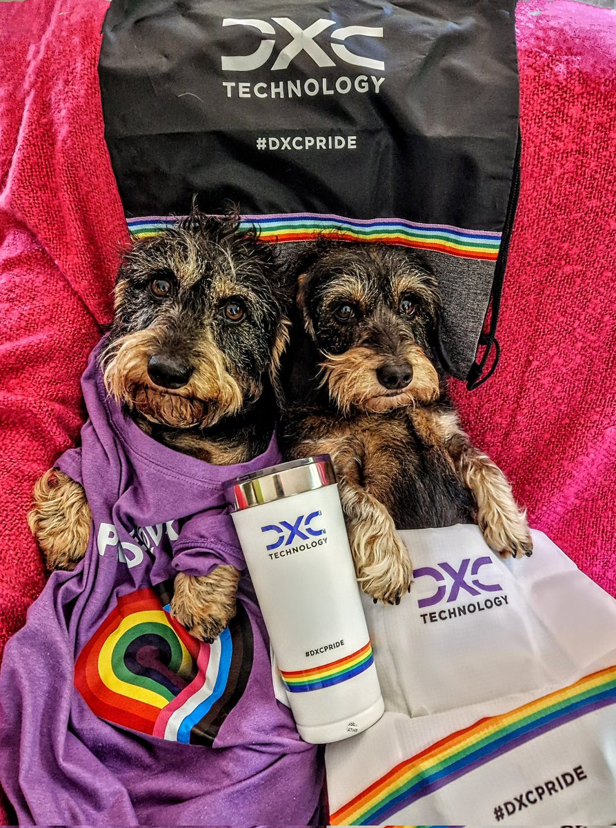 HRHDameDaisy's tweet photo. Enjoy #PrideInLondon today @DXCTechnology, Doris and Mr Rigsby send you their support!! #DXCPRIDE #WeAreDXC 🌈💜 https://t.co/xRpPvGqYWC
