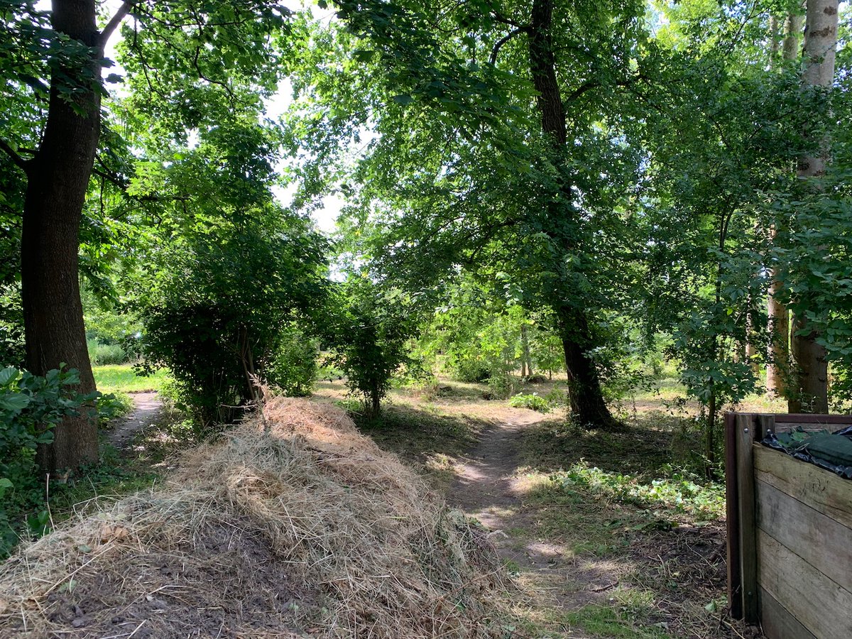 Het zomert bij Stinze-Stiens. Kruidentuin op het erf in volle bloei, (sinus)maaien en hooien in de Vlaskamptún.