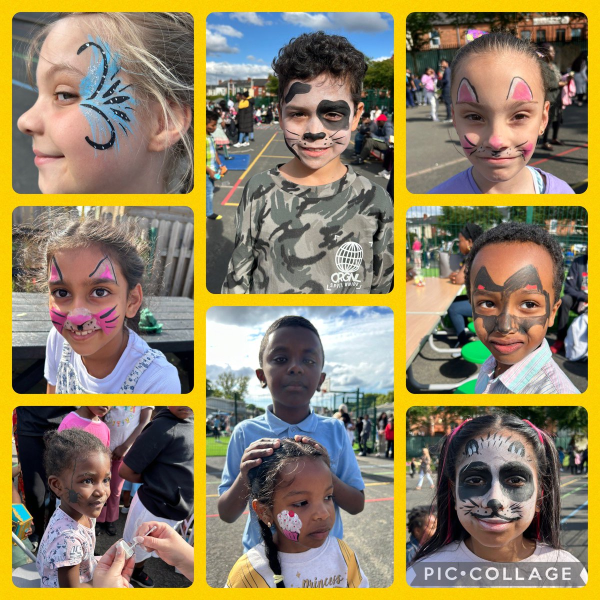 Mansfield Green E-ACT Primary tweet media