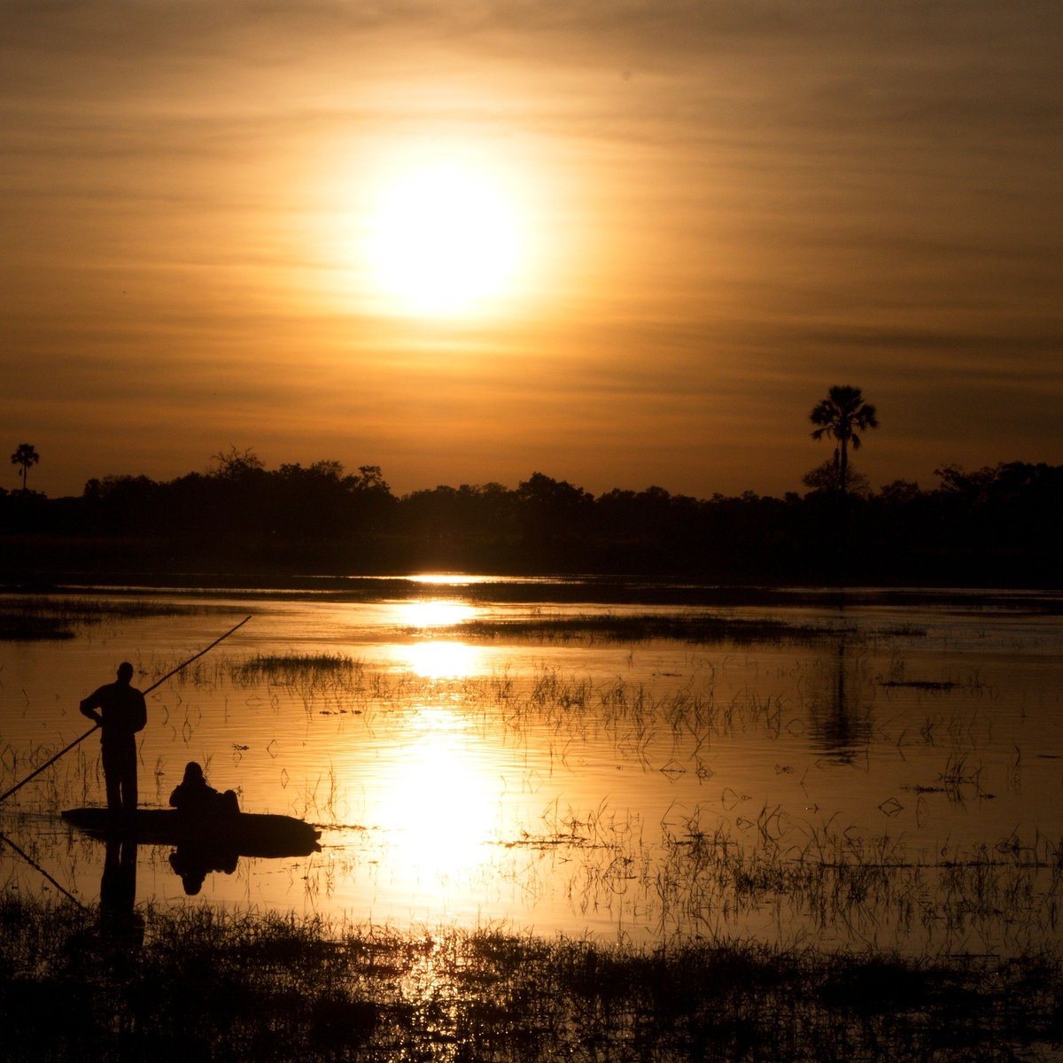 Have you heard of a mokoro safari? 🛶 A mokoro canoe is a shallow boat that can easily navigate quietly through the shallows of the Okavango, getting close to wildlife for an incredible perspective. Tap the link to discover more. bit.ly/Botswana-Rainb…