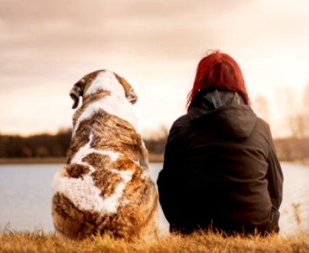 환상이라는 가면을 벗고, 기대라는 사실을 끊고,
그동안 배워온 뿌리 깊은 행동 양식을 파괴하자.
과거의 이야기는 포기하고 두려움은 떠나보내자.
진정한 모습의 내가 되기에 너무 늦은 일은 없다.