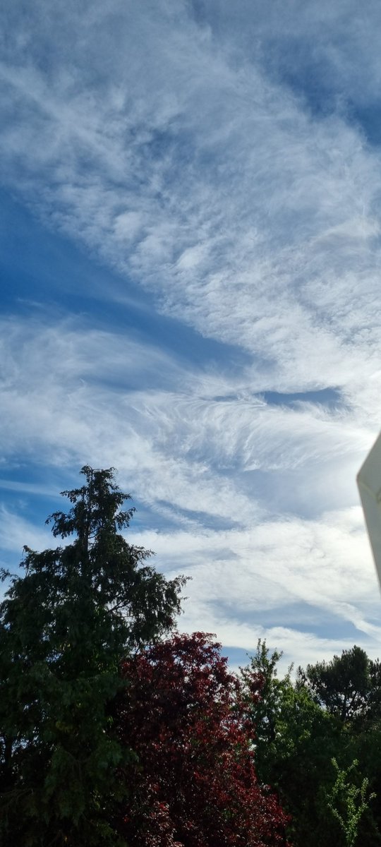 chelmsfordiana's tweet image. Hmmm...🤔...where to go on holiday this year? Costa del Sol or jolly old Essex?😬

I'll stick with Essex. It'll be cheaper and, after all, same weather, right?✈️🌫🌫✈️

#SolarRadiationManagement #geoengineering