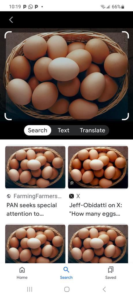 onuesoke's tweet photo. A ball of egg is #250 naira in Delta @AishaYesufu @elrufai @Mo_Atiku @atiku @DailyPostNGR @daily_trust @GuardianNigeria @vanguardngrnews @channelstv @seunokin @tvcnewsng @fkeyamo https://t.co/7ckebGxkdM