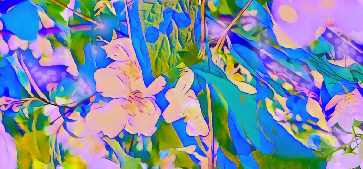 plameneja's tweet image. #flowers #photoedit #multicolour #summer #summerday  #happy