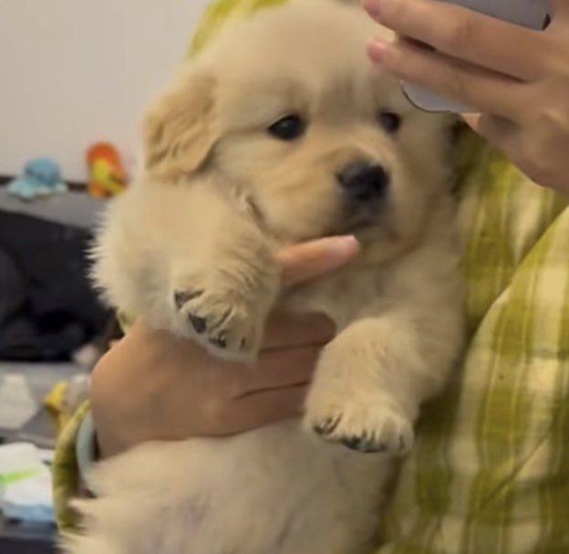 ถ่ายแล้วก้โพสว่าเด้กดีของพี่ด้วย