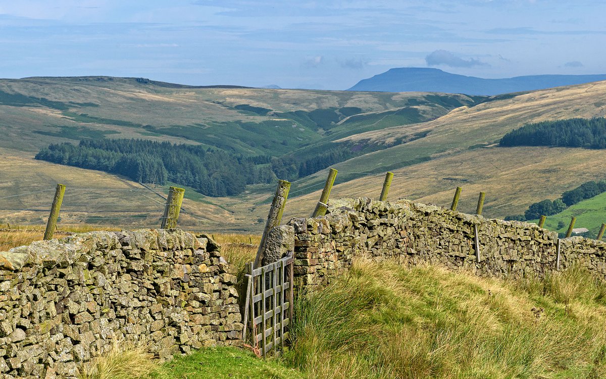 YorkshireLass tweet media