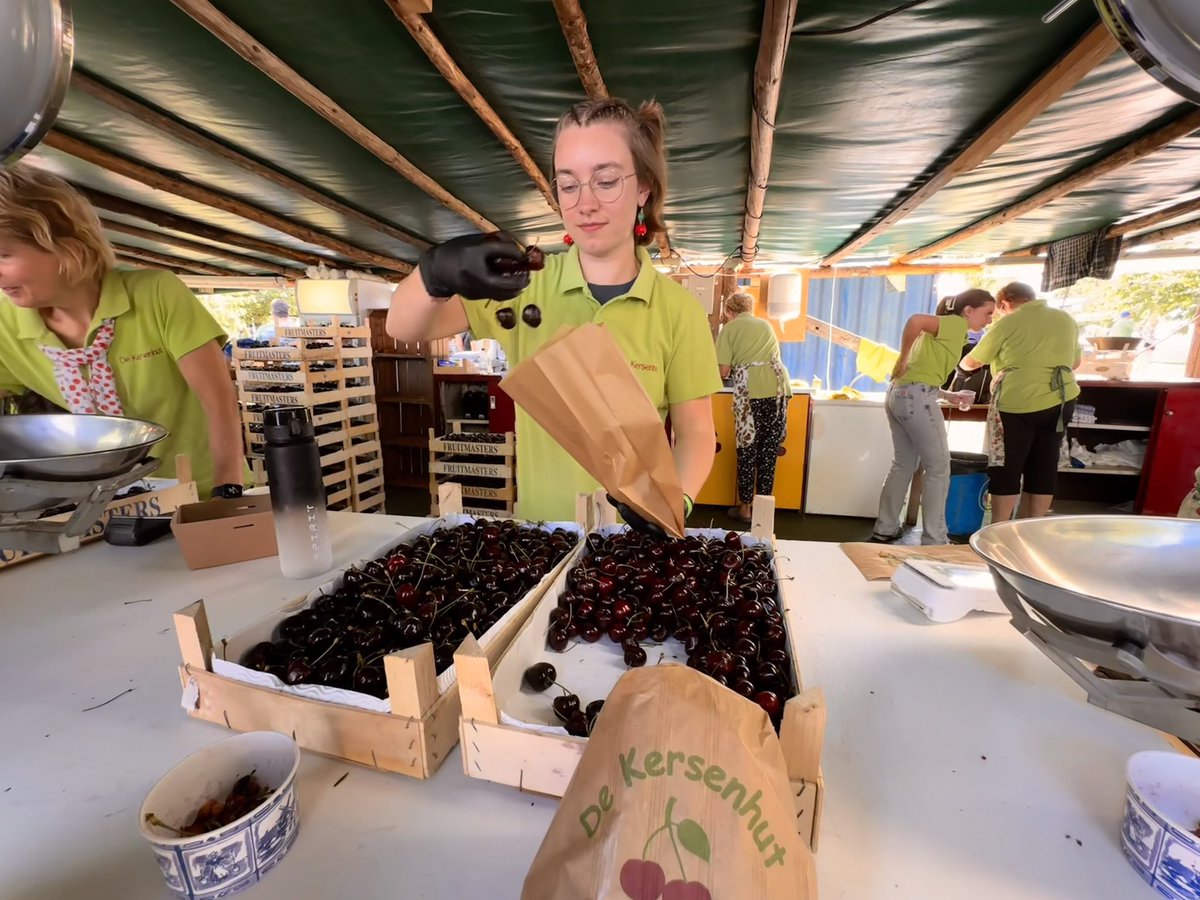 irismeerts's tweet photo. KERSENFESTIVAL 2024 is aan! Topdrukte bij de Kersenhut in #Cothen; mensen komen van heinde en verre voor de heerlijke kersen en andere lekkernijen, de attracties en de gezelligheid. Complimenten aan het team van Theo, Martine, Erik en Lizzy Vernooij voor de goede organisatie. https://t.co/ZdWqZMWqBk