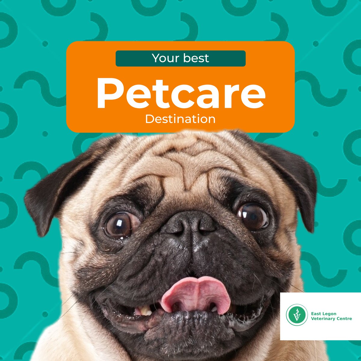 EastLegonVet's tweet image. 🐾 Your Pet's Health, Our Concern! 🐾

#BestPetCare #VeterinaryHospital #PetHealth