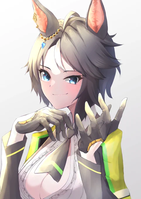 フジキセキさん再掲 