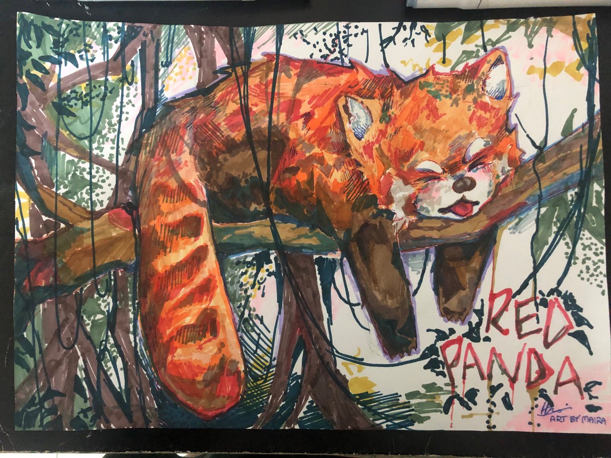 Ilovebookshelfs's tweet photo. Ghghhh this looks rushed ILL DRAW MIKE LATER GHRHRH
HAVE THIS SILLY GUY HERE FIRST
#sketchforsurvival #redpanda #traditionalart #competetion
#fyp https://t.co/p4itX7KDhd