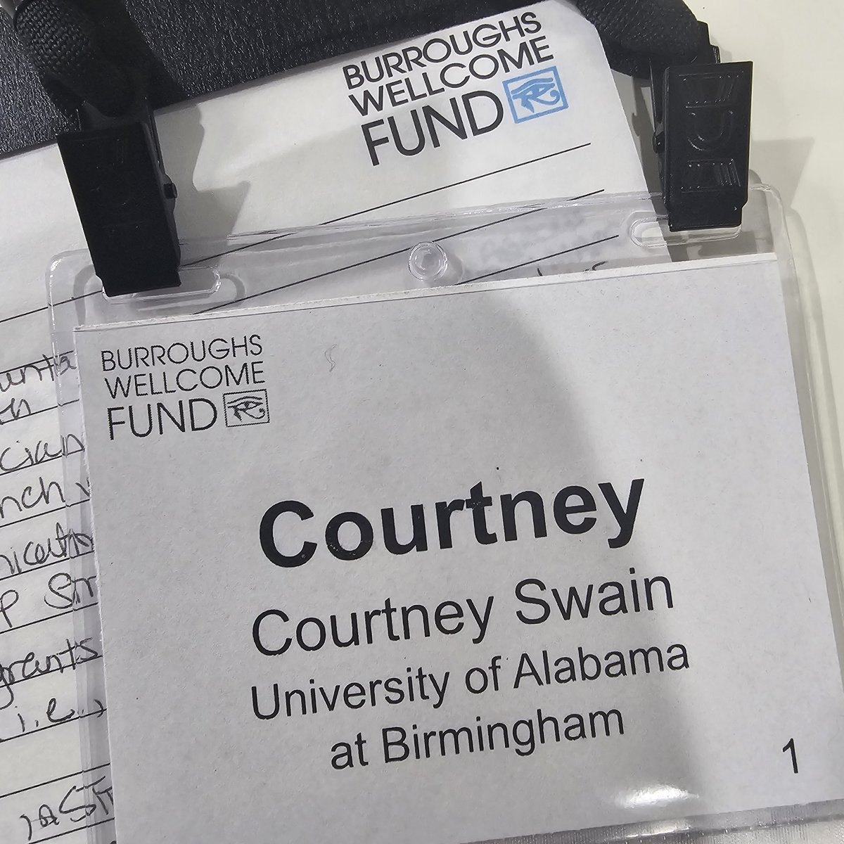 Courtney Swain, Ph.D. tweet media