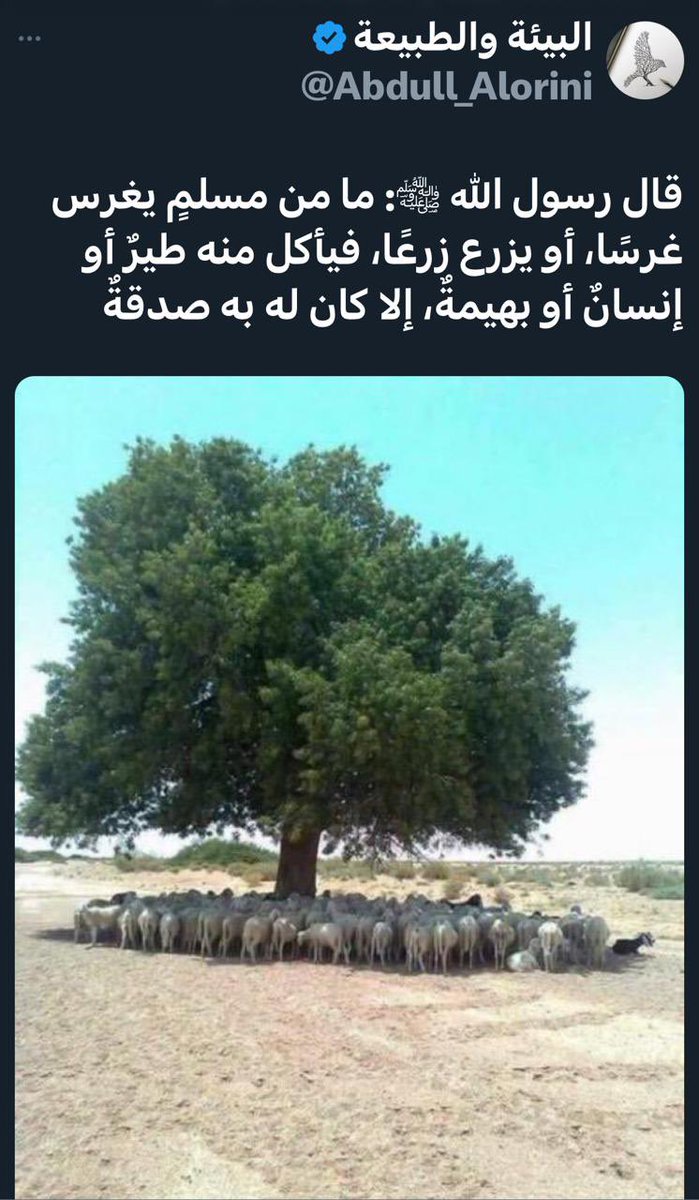 NAlmagoshi's tweet photo. الإسلام منهج رباني تربوي 🍃👌🏻🍃 https://t.co/z6oIU3njiv