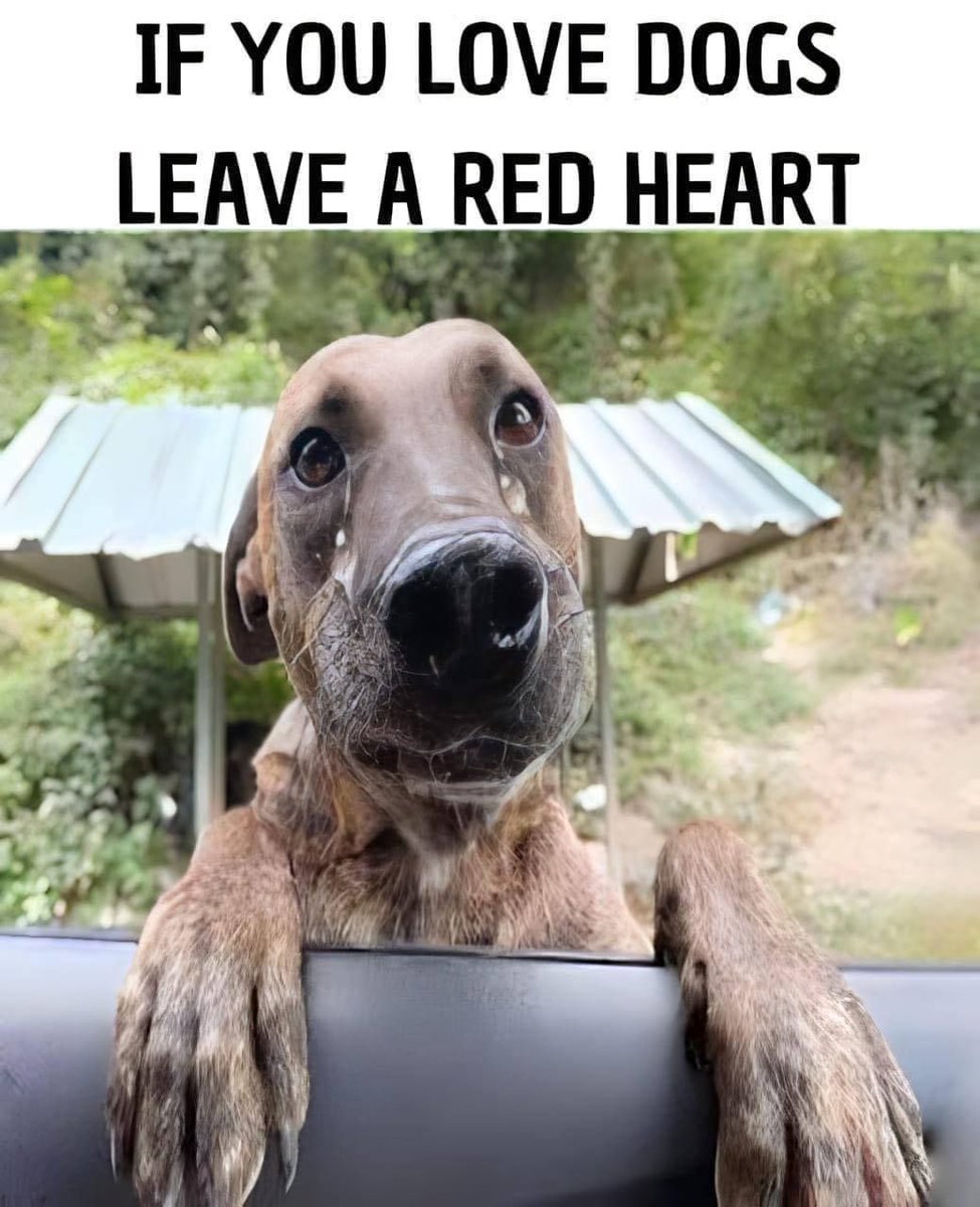 Don't move around without giving him some love! 🥺