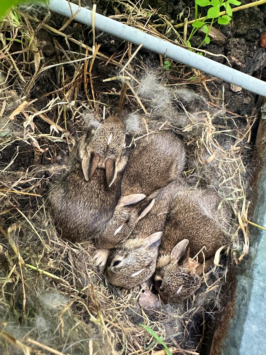 Maria Mihaylova tweet media