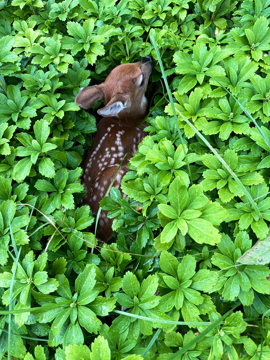 Maria Mihaylova tweet media