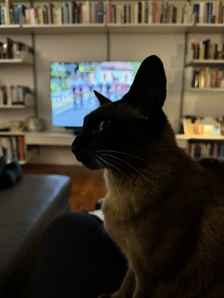 LesVaches DuTour tweet media