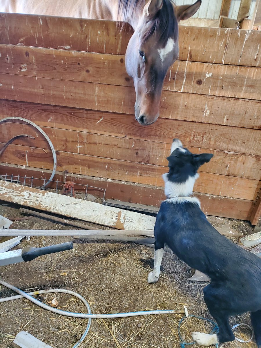 Rebecca Larson tweet media