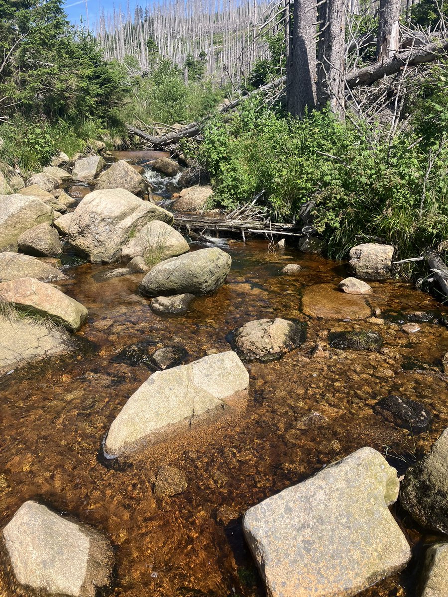 Brocken Wanderung bei dem schönen Wetter 🏔️☀️🙏🏼😇  immer wieder schön! Und eine kurze nackige Abkühlung gab es auch noch ☀️😇
#harz #wandern #brocken #nacktbaden