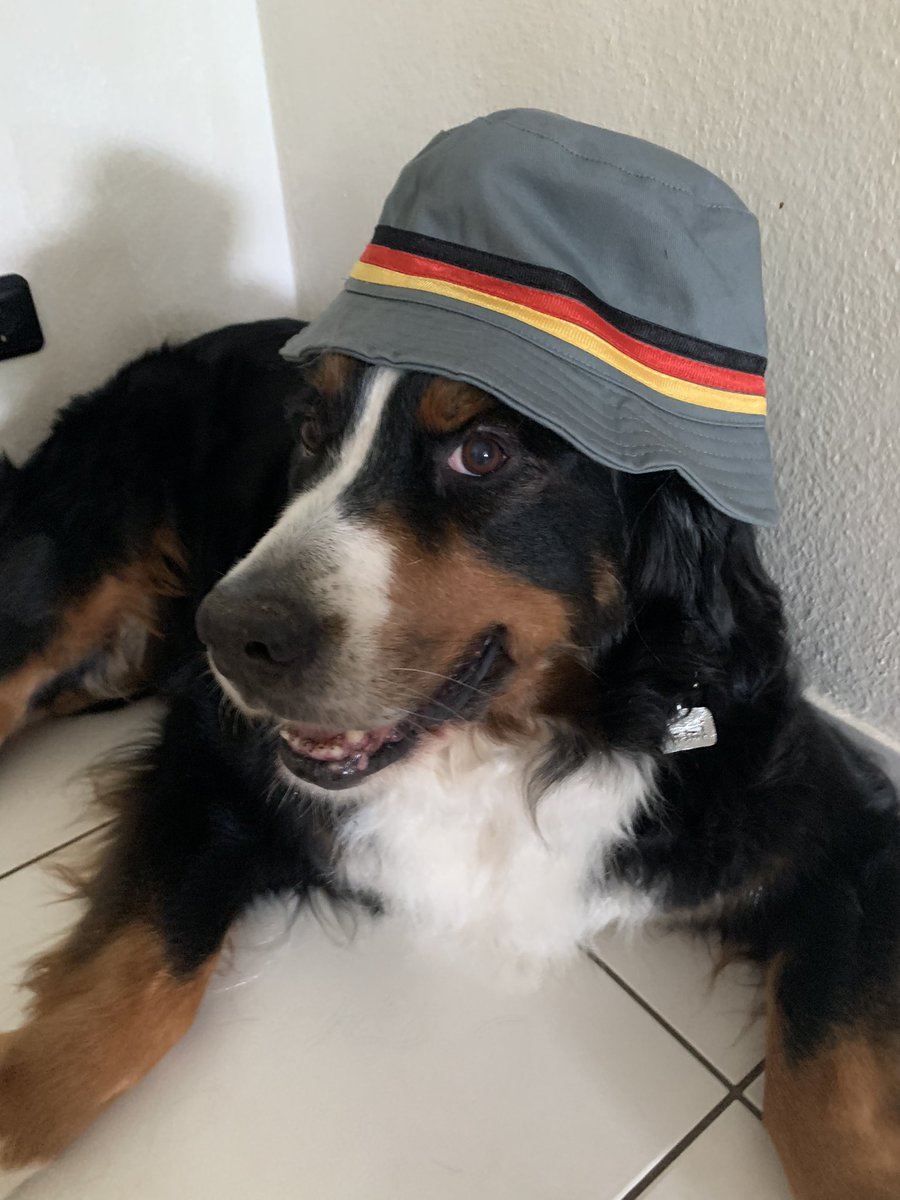 SabineRausch7's tweet photo. Wir sind bereit 😃 https://t.co/dvTJSM6YpI