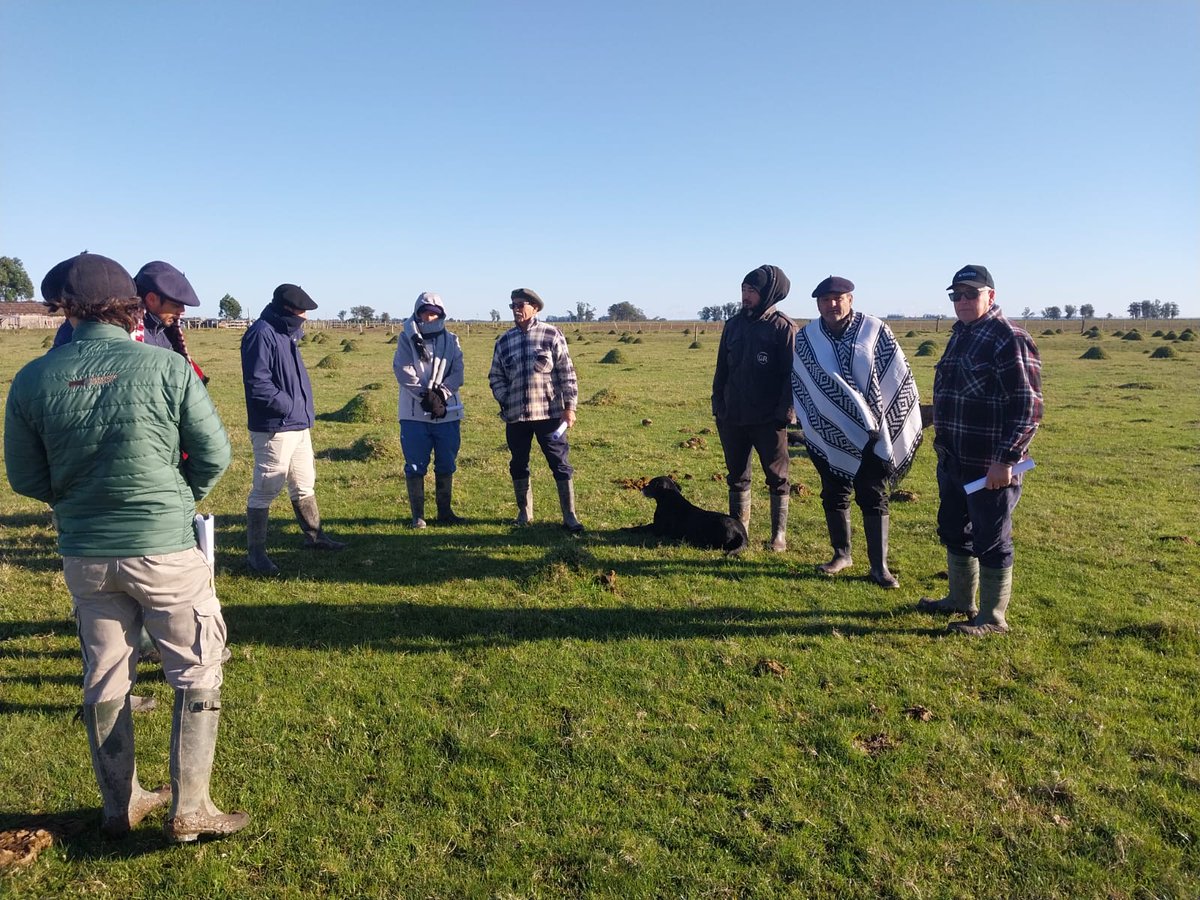PlanAgro's tweet photo. Reunión mensual del "Grupo Vergara" en el Establecimiento El Rancho de la familia Moreno. La Ing. Agr. Paula Ávila facilita el proceso grupal.
#GruposPlan
#ProcesoGrupal
#ProcesoAsociativo
#Ganadería https://t.co/ngNKpph5Fc