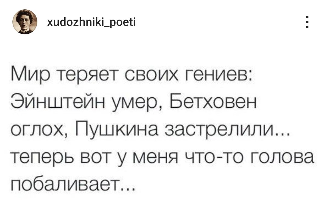 писатель, его кошка и кот tweet media