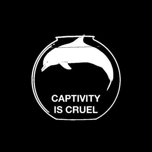 Chase1_800's tweet photo. #BeVegan #AnimalRights https://t.co/im8QkId5VY