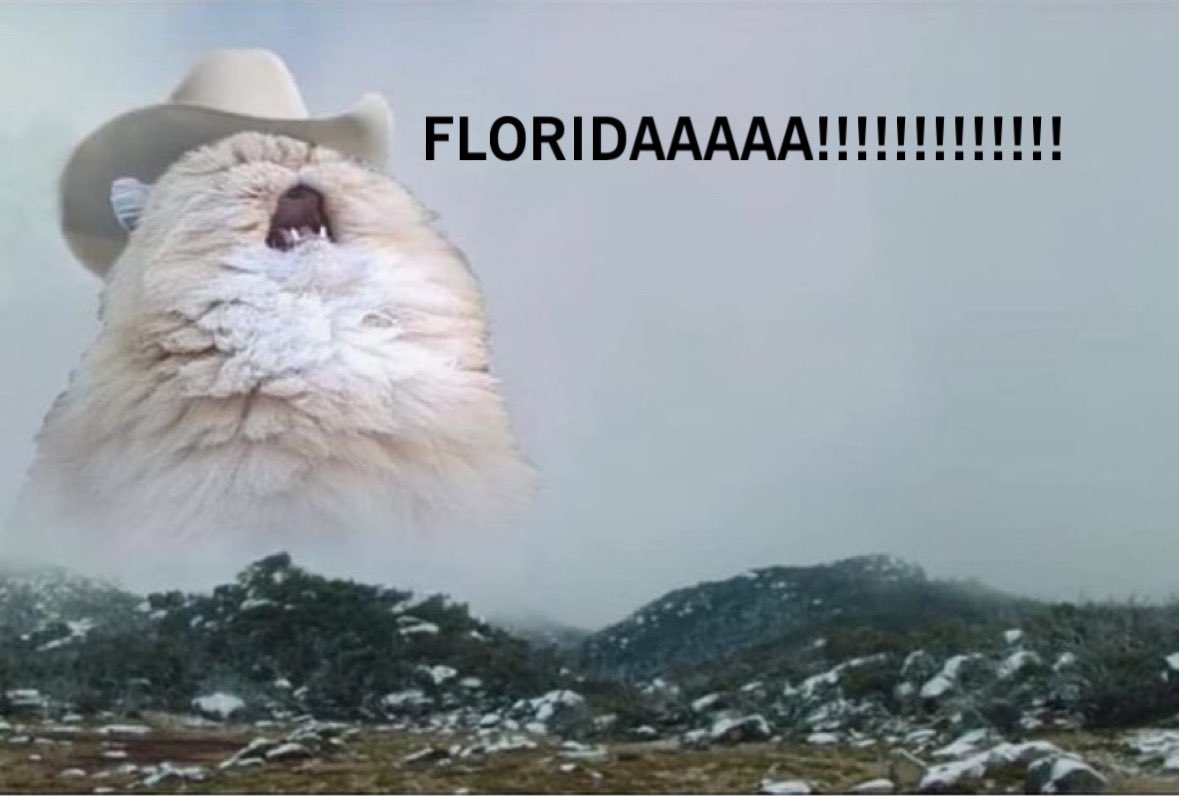 absolutely no one: 

me: