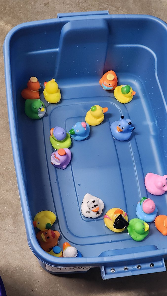 No kiddie pool but 2589 still has our ducks in a row. Driving pipeline &amp; having fun! People, process, pipeline! Stay tuned to see who wins the grand prize on Monday! <a href="/CGrammer6/">CGrammer</a> <a href="/DCT0813MD/">Dante Thomas</a> <a href="/JollyLatrice/">latrice jolly</a>