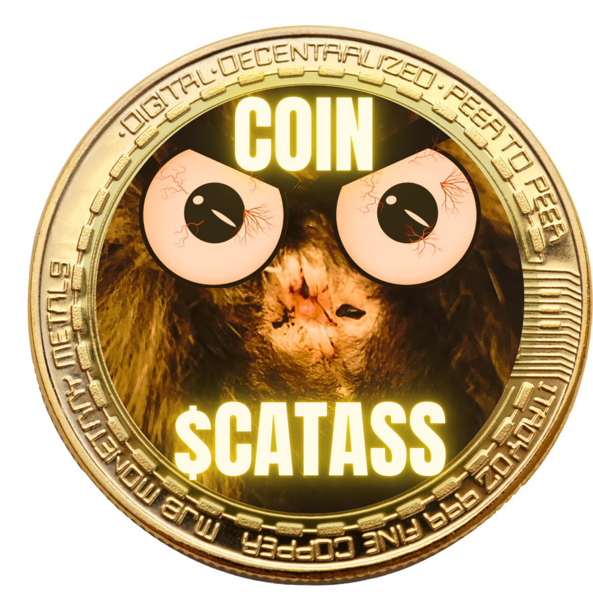 Predator tweet media