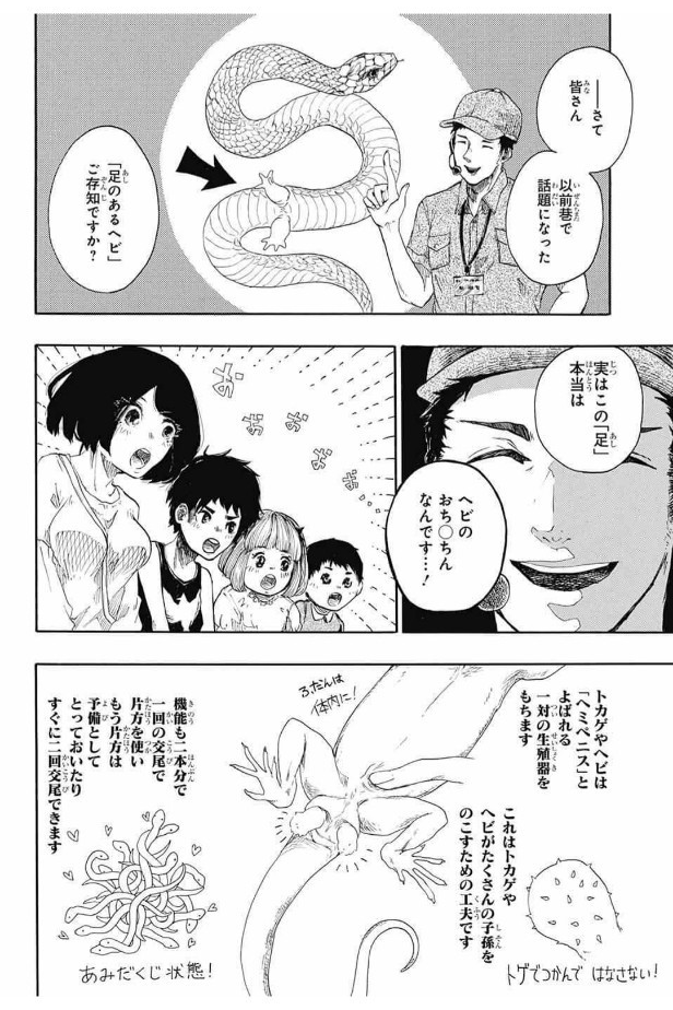 『ドラゴニュートの下半身』(7/12) 