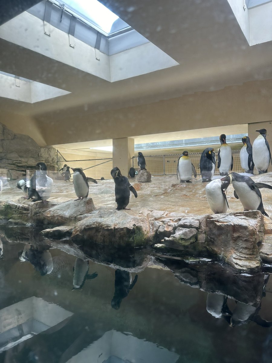 Gabe8bit tweet media