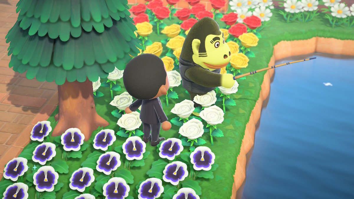 LemmyFan123's tweet photo. #AnimalCrossing #ACNH #ACHHP #NintendoSwitch https://t.co/aoBrpsnwmr