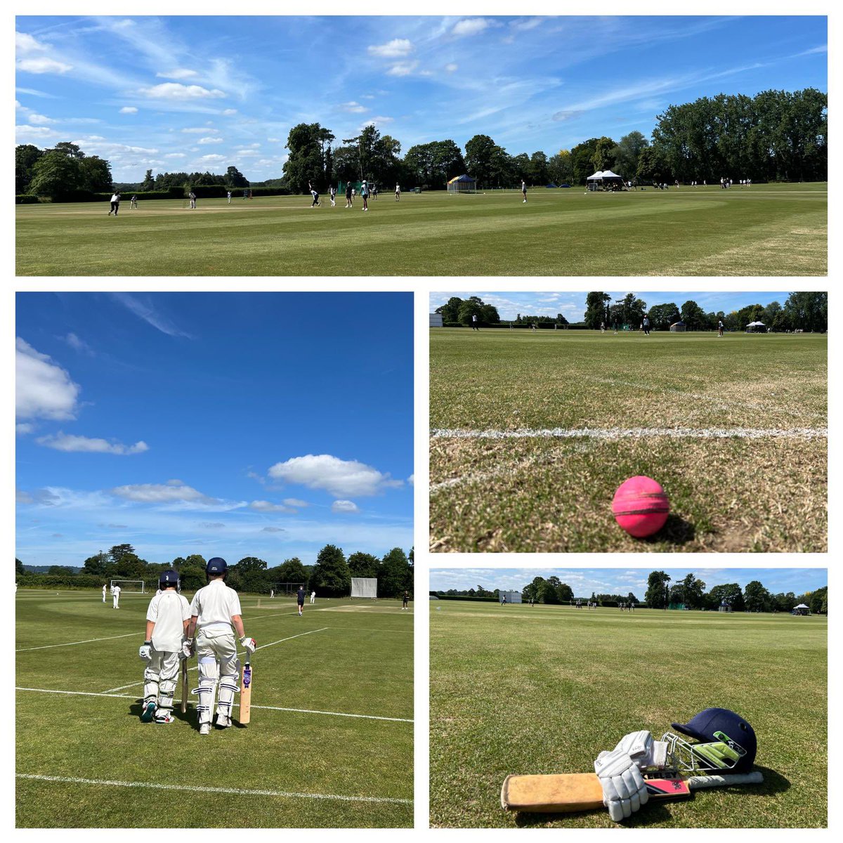 RGS Cricket tweet media