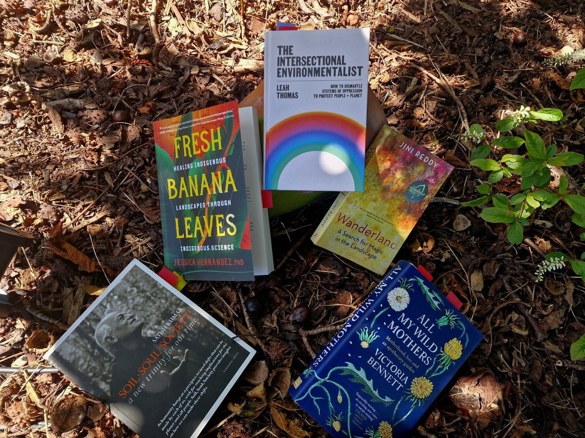 Dr Geeta Ludhra tweet media