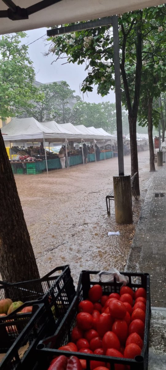 Avui mercat a Ripoll passat per aigua! Però almenys aigua al Ter!😉