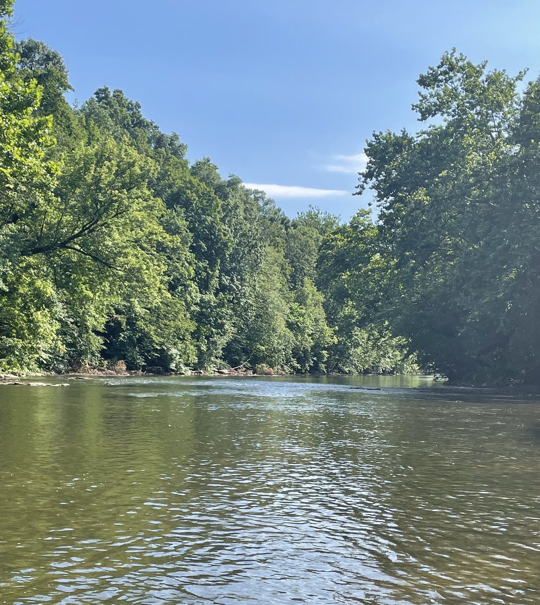 Summer is in full swing and that means chasing smallmouth bass on the local warm water stream.  No picture worthy fish but plenty of action. #flyfishing #bass