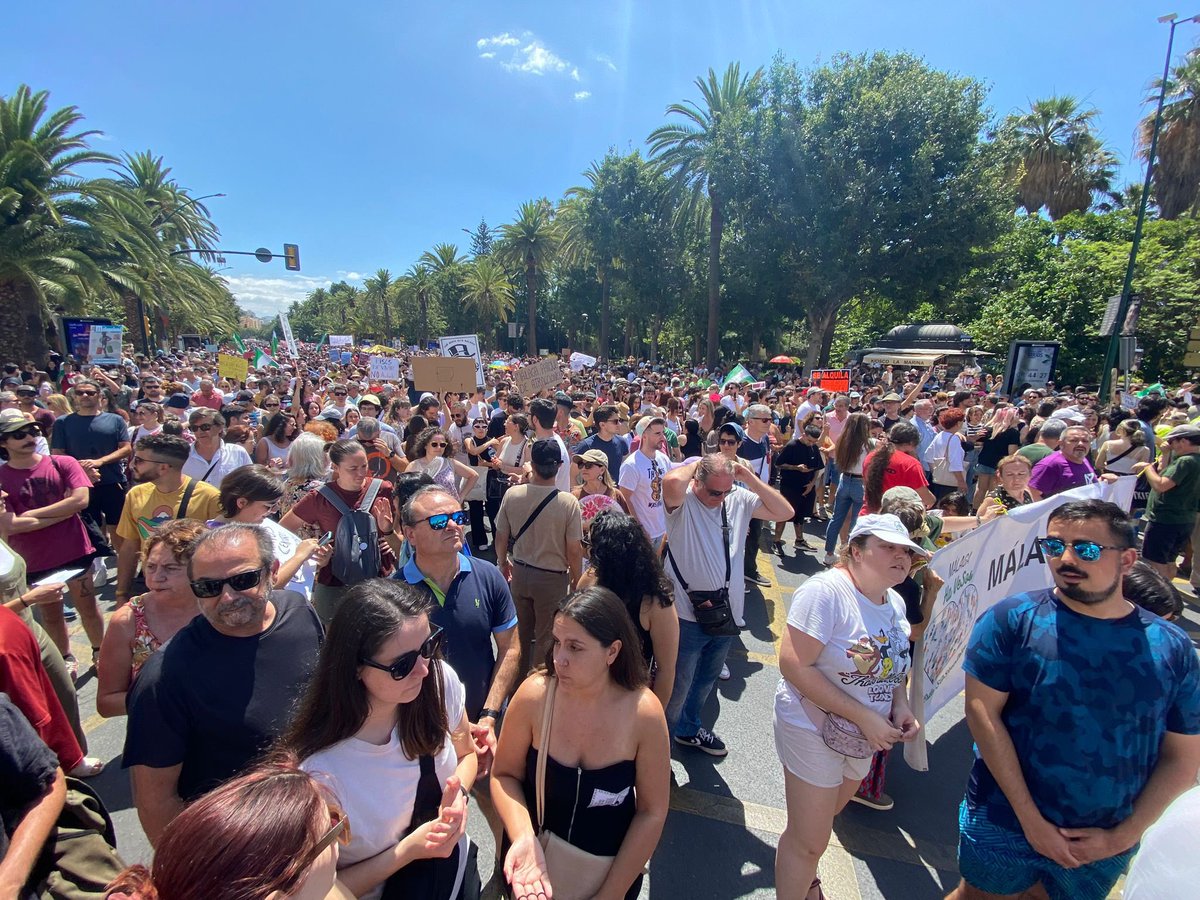 AscoMalaga's tweet photo. Tengo la esperanza que #Malaga a partir de hoy empiece  a despertar del letargo franquista de @pacodelatorrep #29JParaVivirNoParaSobrevivir #29J Málaga es para vivir no para ser expulsados por el PP de la ciudad https://t.co/WffGDNjwj9
