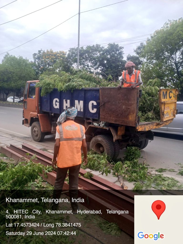 vinay_vangala's tweet image. @HarithaHaram @dobriyalrm need ur att&apos;n and action again here! 3 neem trees now. 
Dear @CommissionrGHMC  your action is still pending and ur vehicle went to lift the illegal unscientific pruning waste today! Tried to clear the evidence!
#SaveFullyGrownTrees
@ZC_SLP @HiHyderabad