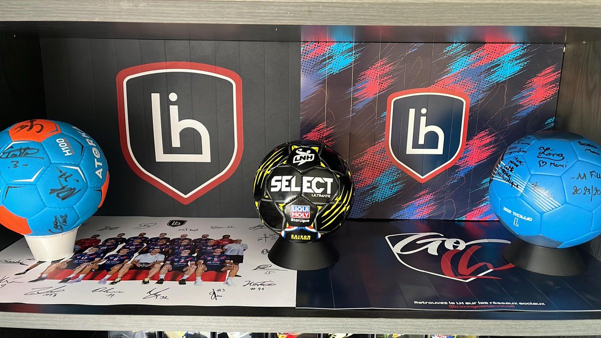 Belle vitrine d'un supporter des Lions Cubs
#limogeshandball