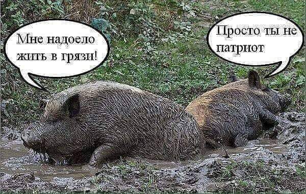 AndreySmetanen6's tweet photo. https://t.co/dajz5Dgyk4