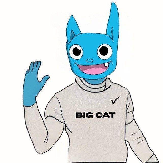 BALT TON // BRETT' S CAT CTO tweet media