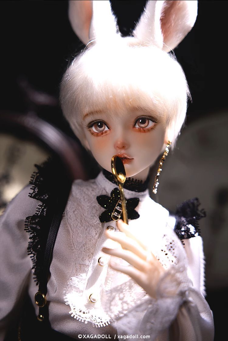 DOLK on X: DOLK on X: