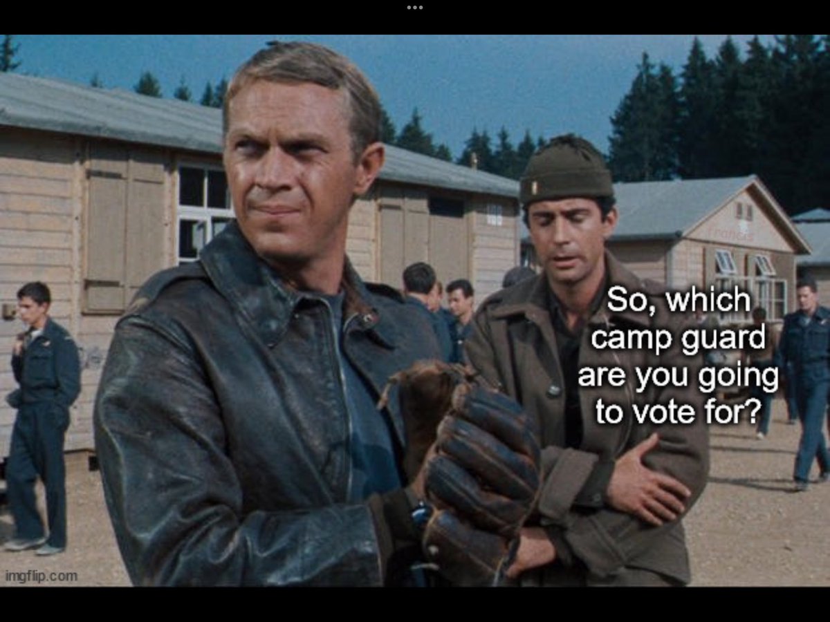 This is exactly how I feel about our 4th July election. 😭