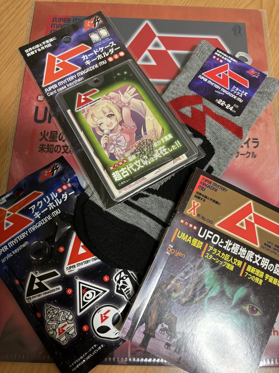 セリアのムーグッズゲットォォ🛸