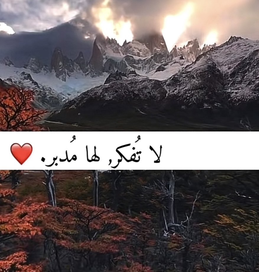 ملاك درار (@malak_derar) on Twitter photo 