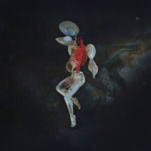 The new Hail Spirit Noir album is just incredible! Concoction of different styles weaved into something magical!