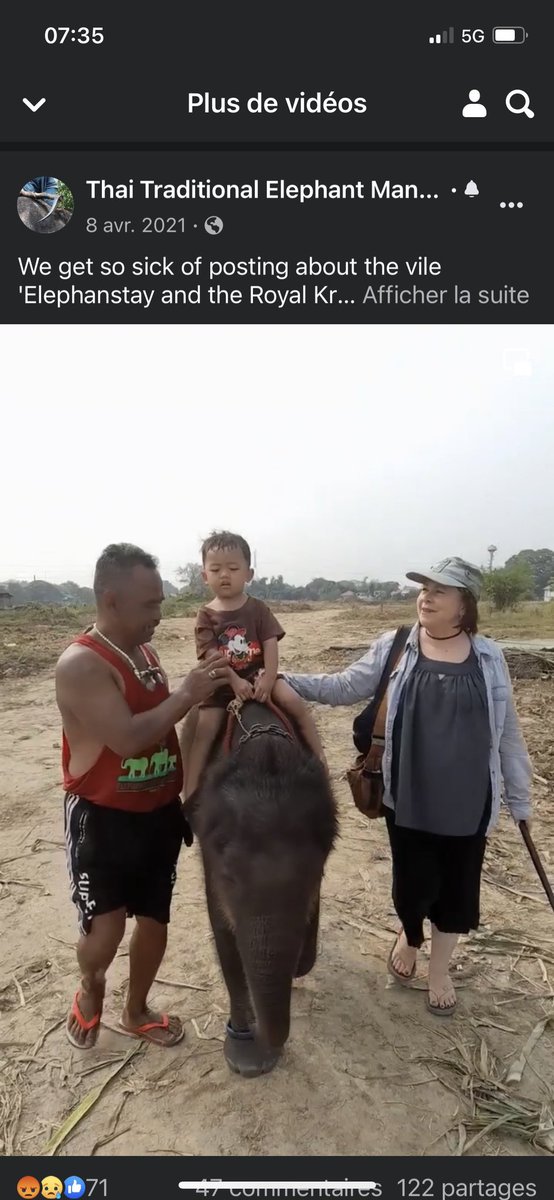 Lucycrew7's tweet image. Vous me décevez bcp de promouvoir cette cruauté surtout qu’il joue à #Elephantstay un des pires endroit pour les éléphants 🤬🤬🤬 Paul Barton veut que $$$ et voici le respect qu’ils ont pour les 🐘🐘🐘 les 🐘🐘🐘 n’aime pas la musique ils n’ont pas le choix !!!!