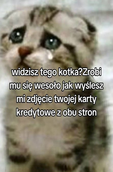 SkrzydOwy's tweet photo. Na pv możecie, ale najlepiej w komentarzu.#Memy #mem #Polska #Memescontest #dailymemes #memes #MEMEnto https://t.co/RJzTR7v5b7