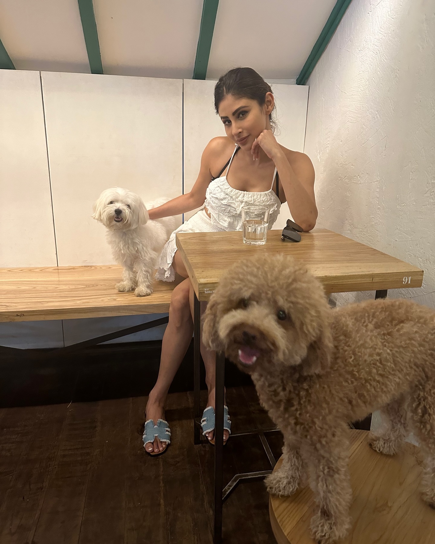 GRPN4eVacAA1I4a?format=jpg&name=large