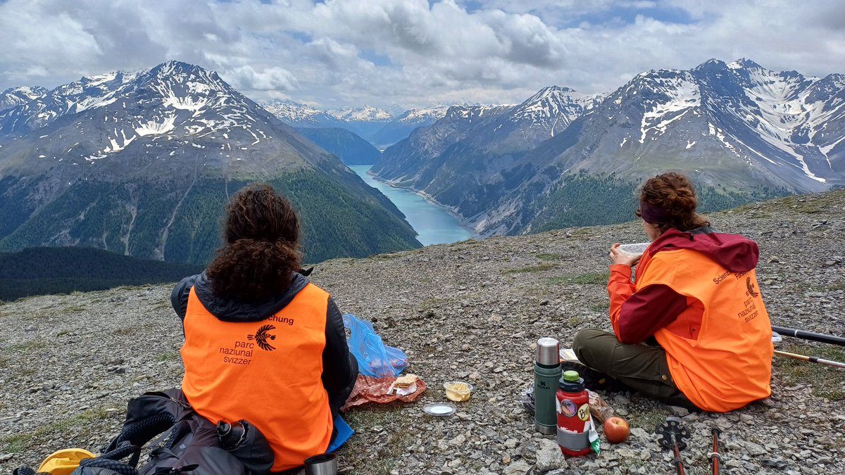 JoovonOppen's tweet image. The second batch of #alpine #microclimate loggers is in the ground! We had a fantastic week in the stunning landscapes of the ##SwissNationalPark 🏔🌼🌱🐐🦅🇨🇭
Next up: back to 🇦🇹 for vegetation relevées!

@EcologyBasel #ParcNaziunalSvizzer